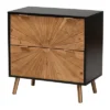 Richardson Two-Tone Wood 2 Drawer Storage Cabinet Natural Brown/Black - Baxton Studio