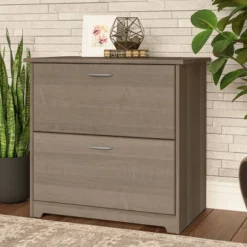 Cabot 2 Drawer File Cabinet Ash Gray - Bush Furniture